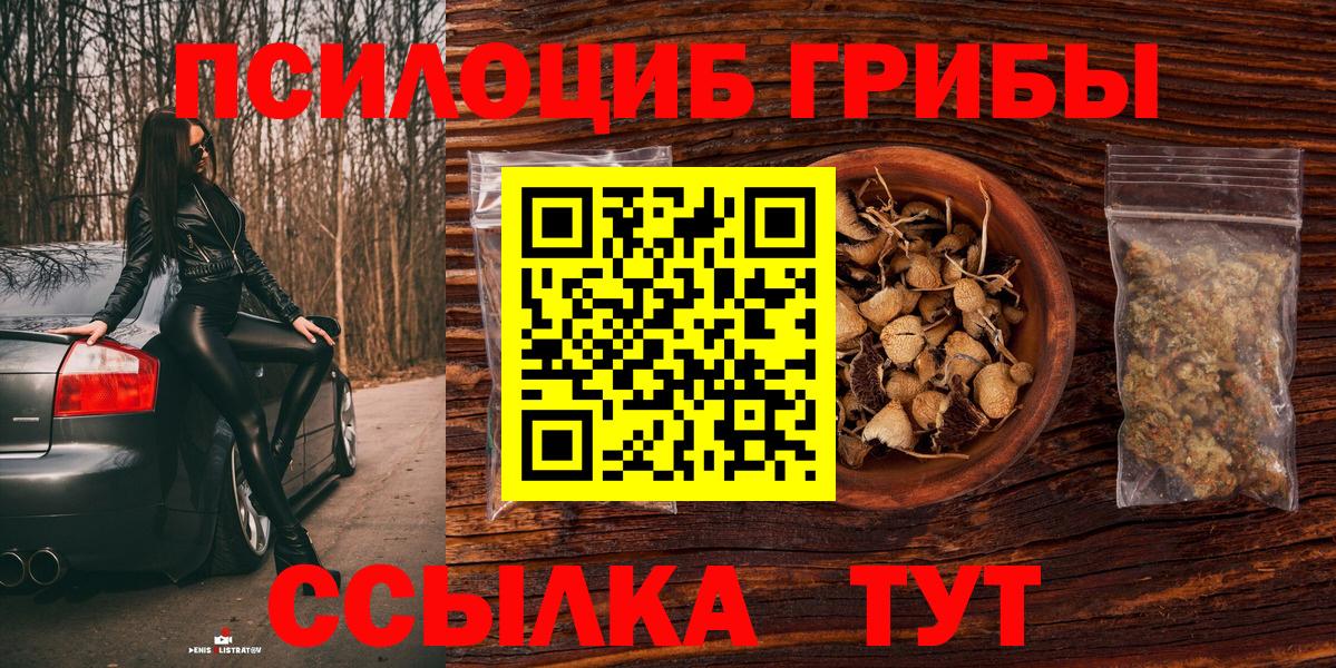 Галлюциногенные грибы мухоморы Щёлково