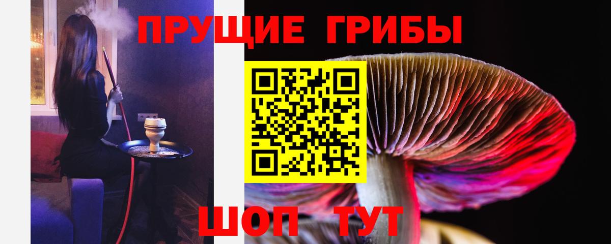 цены   Вход с VPN  Щёлково  Галлюциногенные грибы Psilocybine cubensis 